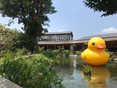 -大门水乡·顺德菜