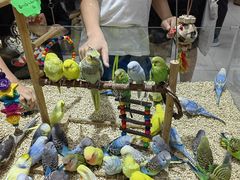 -三旗百汇商品城