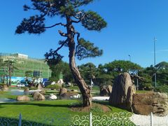 -罗红摄影艺术馆