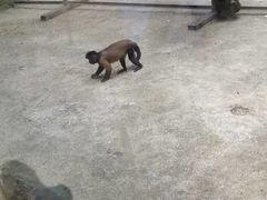 -云南野生动物园