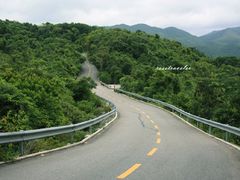 美丽的路向前延伸-三亚亚龙湾人间天堂鸟巢度假村