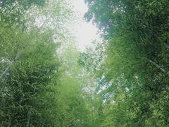 -藏龙百瀑风景区