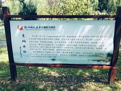 -杭州师范大学(下沙校区)