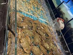 -九月海·海鲜自助(世纪东方店)