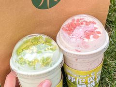 -茉酸奶(春熙路店)