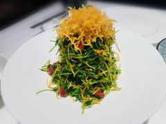 巧拌豆苗-四季民福烤鸭店(王府井灯市口店)