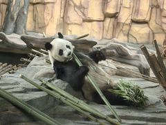 -泉州海丝野生动物世界