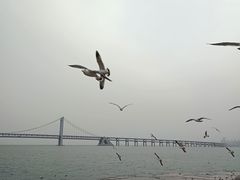 -星海广场