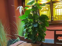-解家河南菜(金水路店)