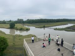 -溱湖国家湿地公园