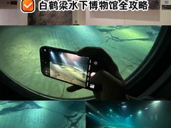 -白鹤梁水下博物馆