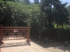 -永乐宫