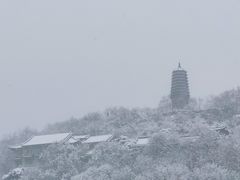 -高尔山公园