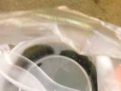 -鞠氏黑芝麻糊(水塔店)