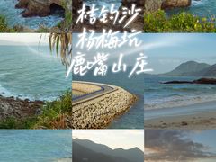 -杨梅坑