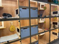 -小呆的宠物店·宠物售卖·宠物寄养(城西店)