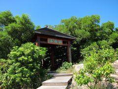 -野狸岛