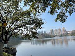 -重庆彩云湖湿地公园