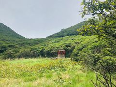 -大围山国家森林公园