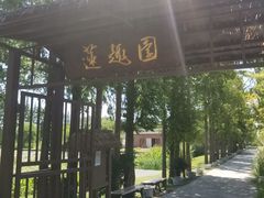 -上海长兴岛郊野公园