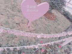 -东湖磨山景区