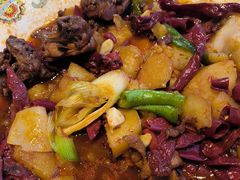 -巴依老爷新疆美食(常营店)