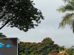 -西双版纳勐泐文化旅游区