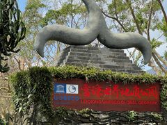 -海口火山口国家地质公园
