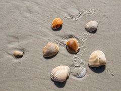 -金梦海湾浴场