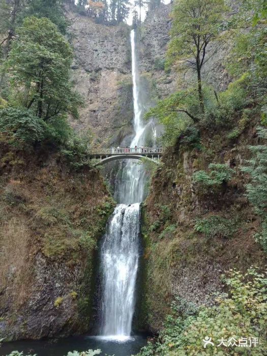Multnomah Falls Lodge Restaurant图片