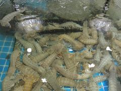 -渔码头食府(蓬莱阁店)