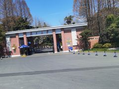 -复旦大学本部-食堂