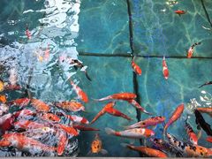 -北国之春国宴(乌兰察布店)