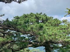 -罗田薄刀峰风景区