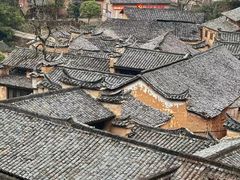 -杨家堂村