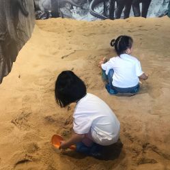 -恐龙探索乐园(磁器口店)