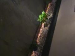 -泰之源足浴会所(玉环店)
