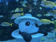 -海合安成都极地海洋公园