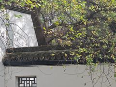 -沈阳植物园
