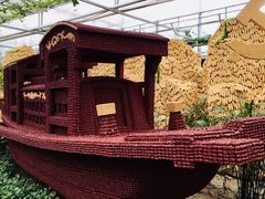 -兰陵国家农业公园