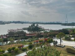 -芒洲湿地公园