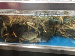 -盒马鲜生(大成店)