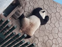 -沈阳森林动物园