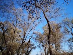 -长春市南湖公园