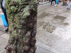 -覃肥叔桂林米粉(粮道街店)