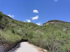 -北京西山国家森林公园