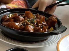 客家焖猪肉-维园港式茶餐厅(龙岗盛平店)