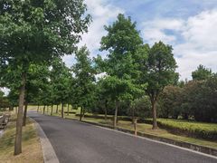 -广富林郊野公园
