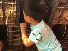 -武汉开心果园农业发展有限公司