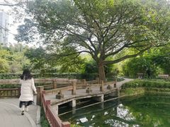 -望江楼公园